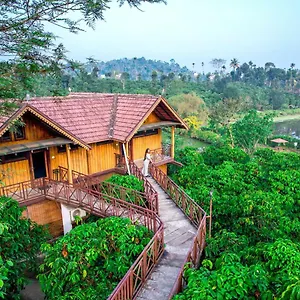 Resort Niyatma Pool By Voye Homes Wayanad